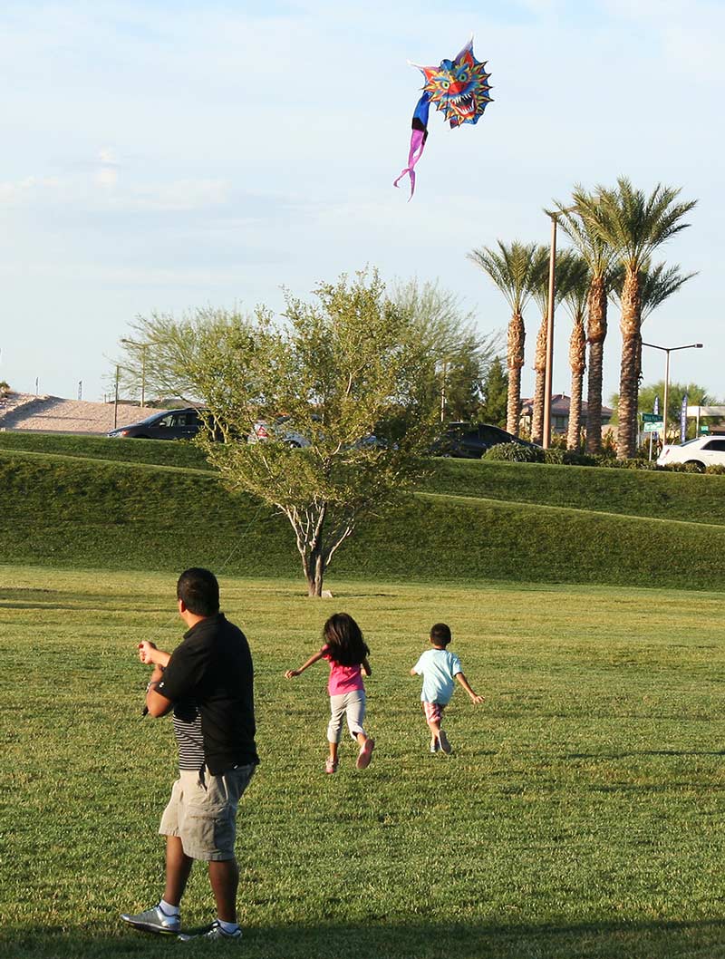 Summerlin Parks to Explore Outside the Y
